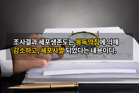 조사결과 세포생존도는 봉독약침에 의해 감소하고, 세포사멸 되었다는 내용이다.