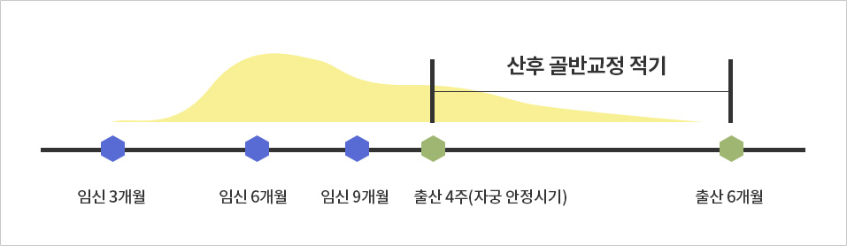 산후골반교정시기 이미지